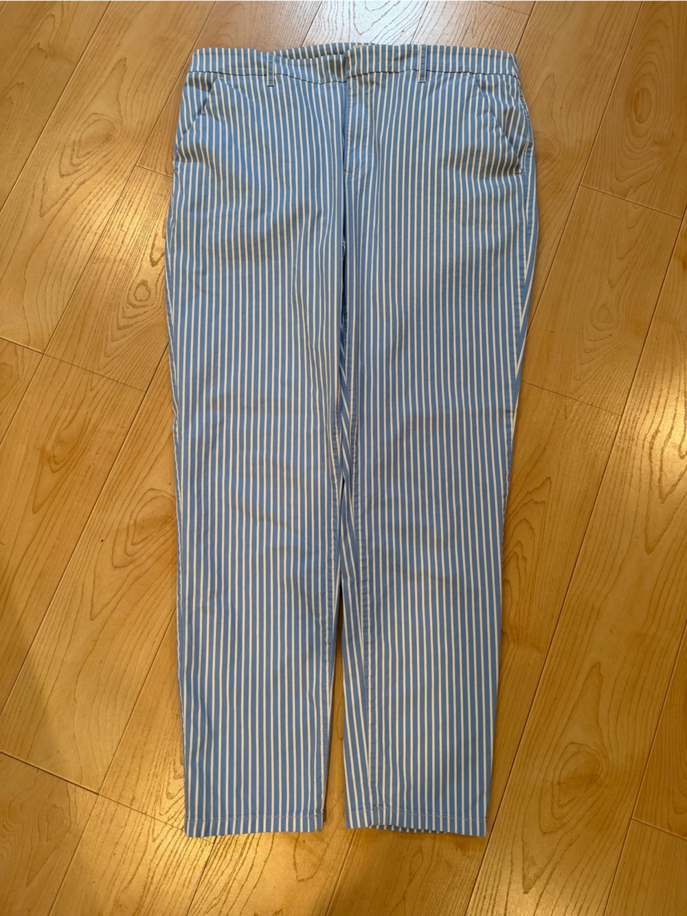 J. Crew Light Blue and White Striped Pants